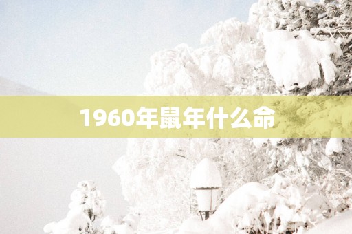 1960年蛇年什么命