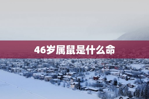 46岁属鼠是什么命