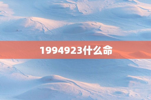 1994923什么命
