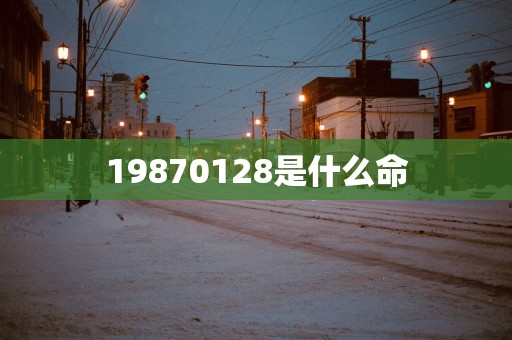 19870128是什么命
