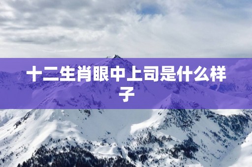 十二生肖眼中上司是什么样子