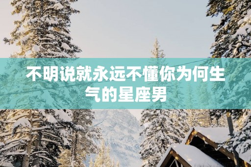 不明说就永远不懂你为何生气的星座男