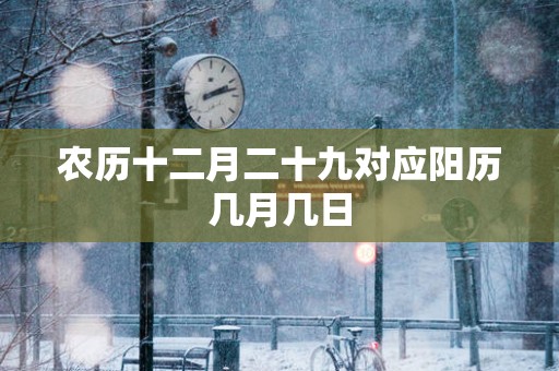 农历十二月二十九对应阳历几月几日