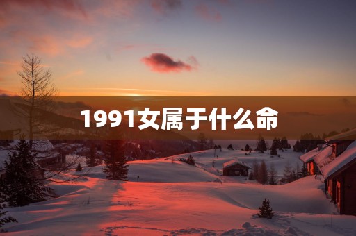1991女属于什么命