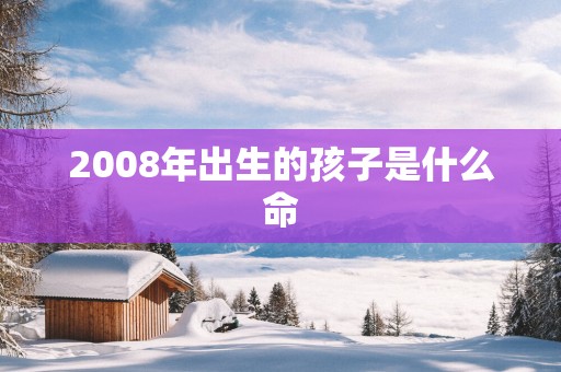 2008年出生的孩子是什么命
