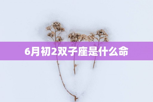 6月初2双子座是什么命