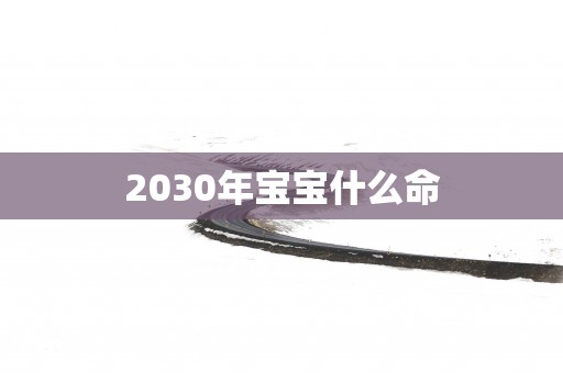 2030年宝宝什么命