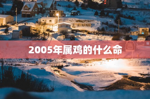 2005年属鸡的什么命