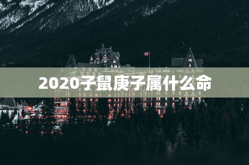 2025子鼠庚子属什么命