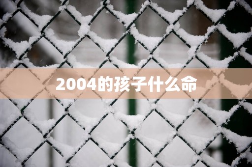 2004的孩子什么命