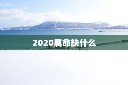 2025属命缺什么 2025属命缺什么