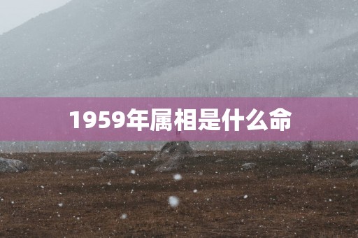 1959年属相是什么命