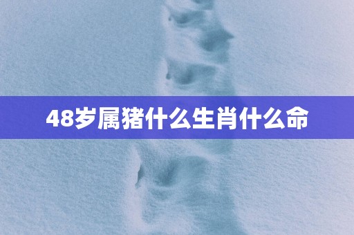 48岁属猪什么生肖什么命