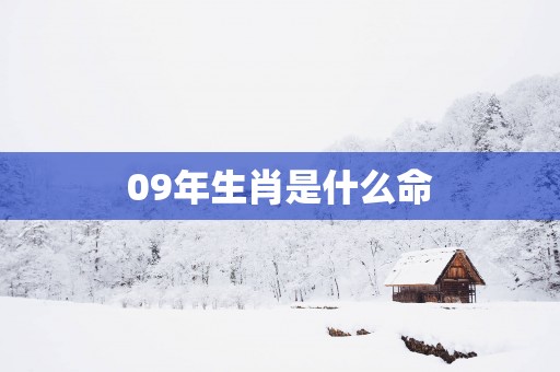 09年生肖是什么命