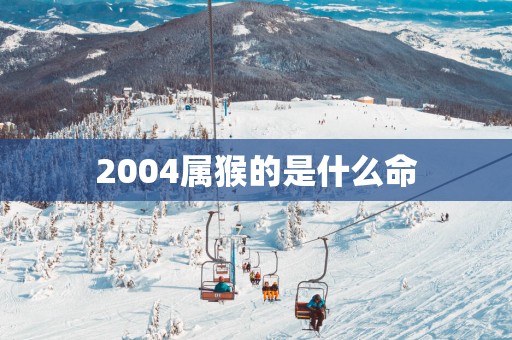 2004属猴的是什么命