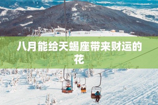 八月能给天蝎座带来财运的花