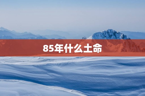 85年什么土命