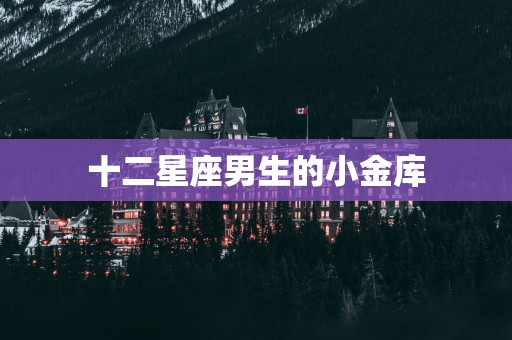 十二星座男生的小金库