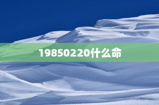 19850220什么命