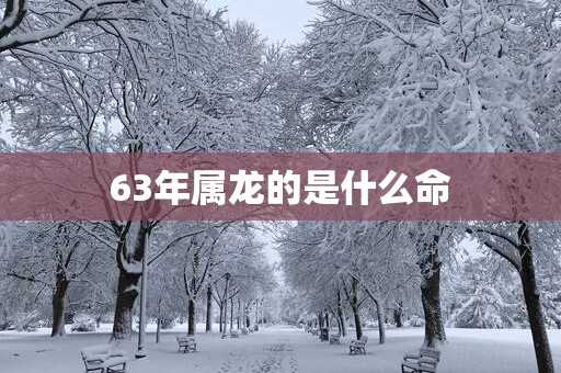 63年属龙的是什么命