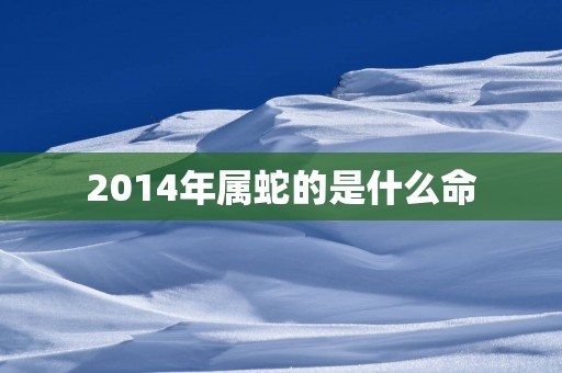 2014年属蛇的是什么命