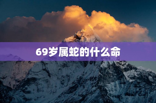 69岁属蛇的什么命