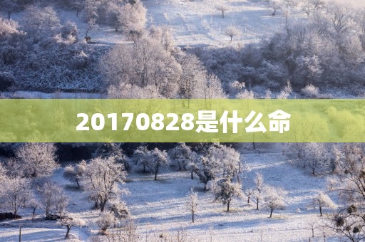 20170828是什么命