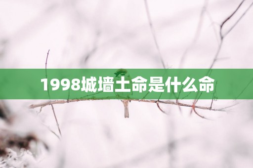 1998城墙土命是什么命
