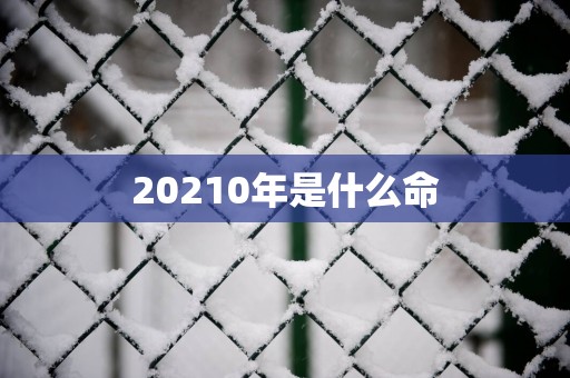 20250年是什么命