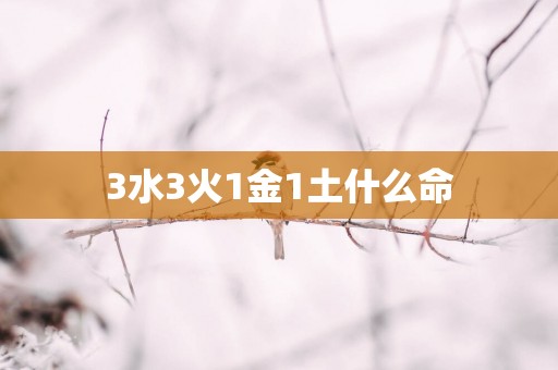 3水3火1金1土什么命