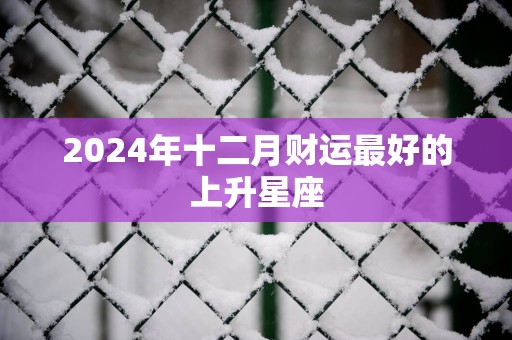 2025年十二月财运最好的上升星座