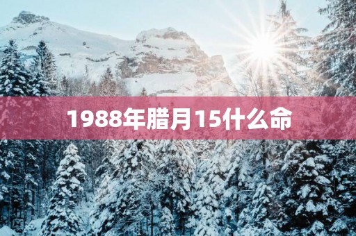 1988年腊月15什么命