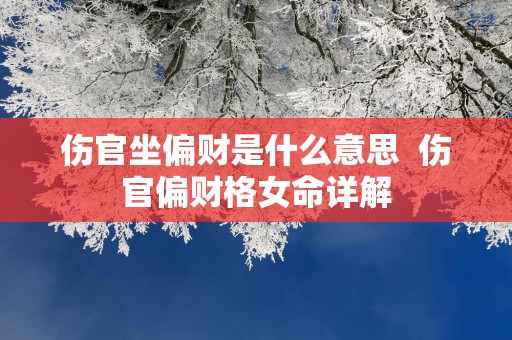 伤官坐偏财是什么意思  伤官偏财格女命详解