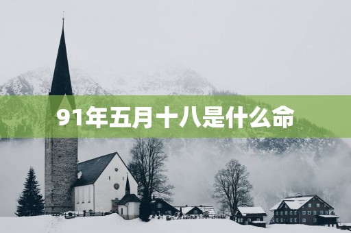 91年五月十八是什么命