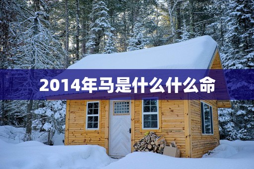 2014年马是什么什么命
