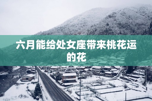 六月能给处女座带来桃花运的花