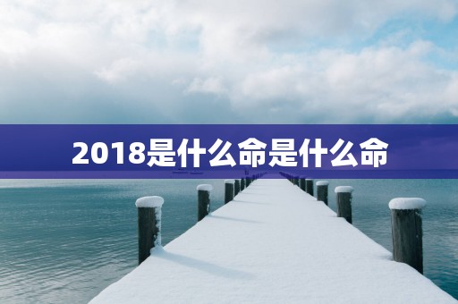 2018是什么命是什么命