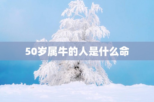 50岁属牛的人是什么命
