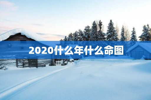 2025什么年什么命图