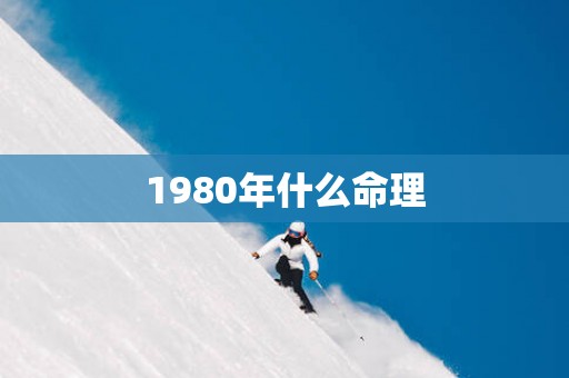 1980年什么命理