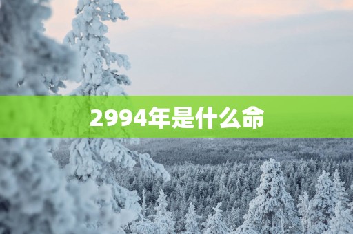 2994年是什么命