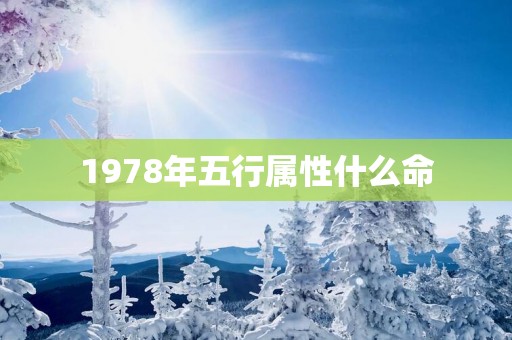 1978年五行属性什么命