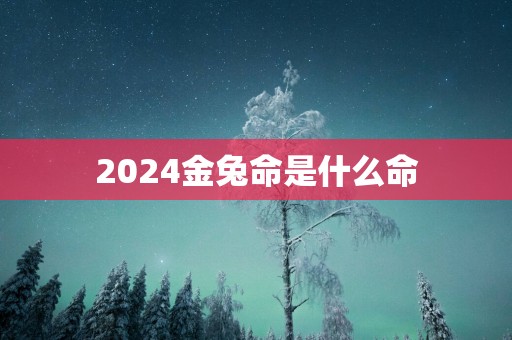 2025金兔命是什么命