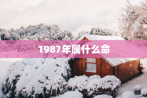 1987年属什么命