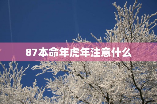 87本命年蛇年注意什么