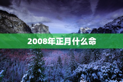 2008年正月什么命