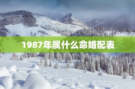 1987年属什么命婚配表
