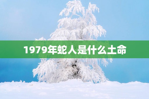 1979年蛇人是什么土命