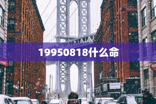 19950818什么命