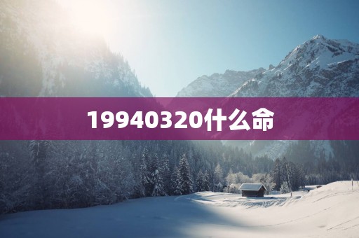 19940320什么命